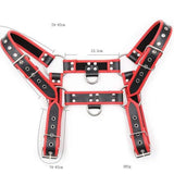 Harnais Homme  Épaule