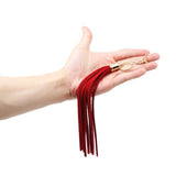 Martinet <br> Ambition