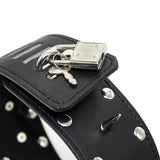 Collier Laisse <br> Clouté