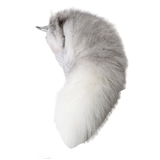 Plug Anal <br> Queue de Renard