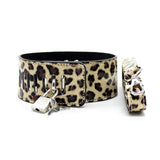 Kit SM <br> Léopard