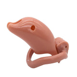 Cage de Chasteté <br> Dauphin