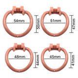 Cage de Chasteté <br> Dauphin