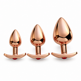 Plug Anal <br> Bijou Or Rose