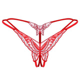 String dentelle brodée Étincelle : photo 5