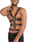 Harnais Homme Torse et Taille : vue principale