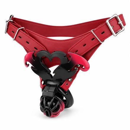 Cage de Chasteté   Coeur avec Ceinture — packshot