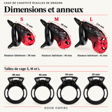 Cage de Chasteté Écailles de Dragon — Dimensions et anneaux