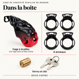 Cage de Chasteté Écailles de Dragon — Contenu de la boîte