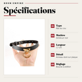 Collier Ras du Cou Anneau Doré Réglable : spécifications
