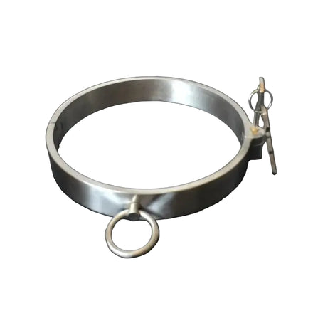 Collier Verrouillable Acier Inoxydable 304 : collier rigide en acier inoxydable avec anneau et clés, photo 1
