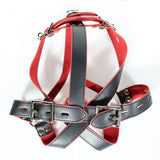 Harnais de Tête Bâillon Boule Noir et Rouge : harnais de tête noir et rouge à bâillon boule, photo 3