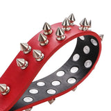 Strap Paddle Clouté BDSM : vue du produit, photo 4