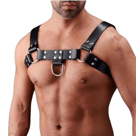 Harnais Bdsm Homme | BDSM Empire